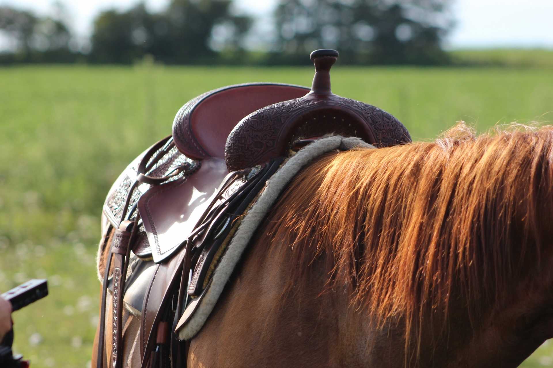 Jim Taylor Cowhorse saddle